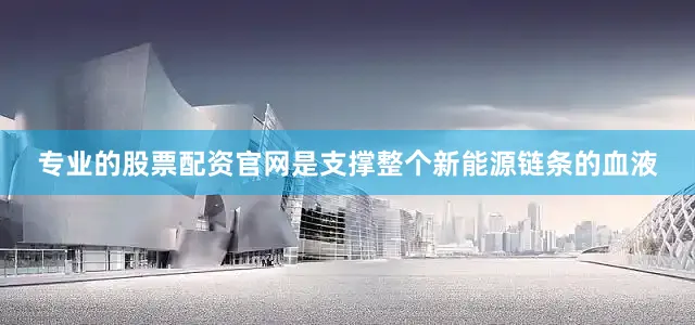 专业的股票配资官网是支撑整个新能源链条的血液